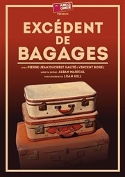 Excedant de bagages